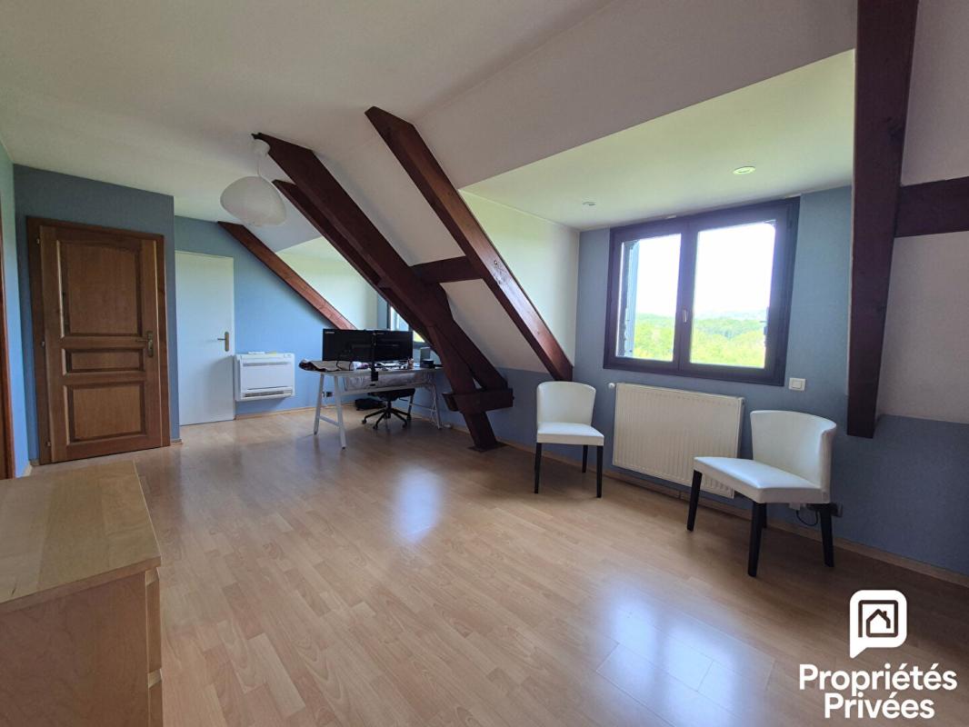 SAVIGNY Savigny (74520) - Maison avec vue Mont Blanc - Terrain 4 689 m² - Calme absolu 12