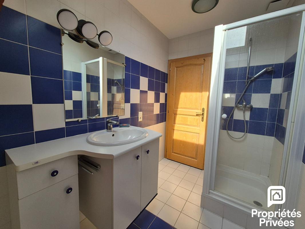 SAVIGNY Savigny (74520) - Maison avec vue Mont Blanc - Terrain 4 689 m² - Calme absolu 14