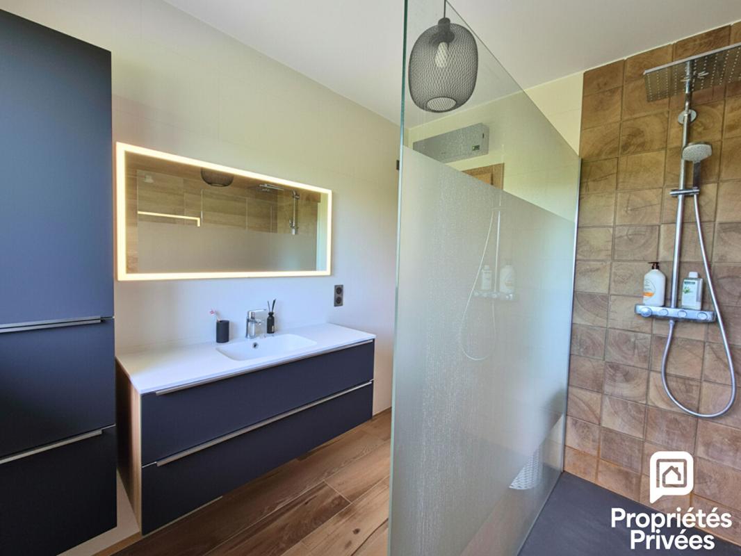 SAVIGNY Savigny (74520) - Maison avec vue Mont Blanc - Terrain 4 689 m² - Calme absolu 8