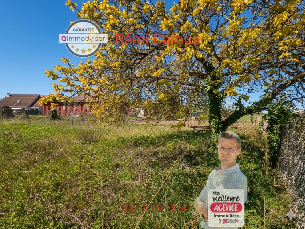 ECROSNES Terrain à batir Secteur recherché 3