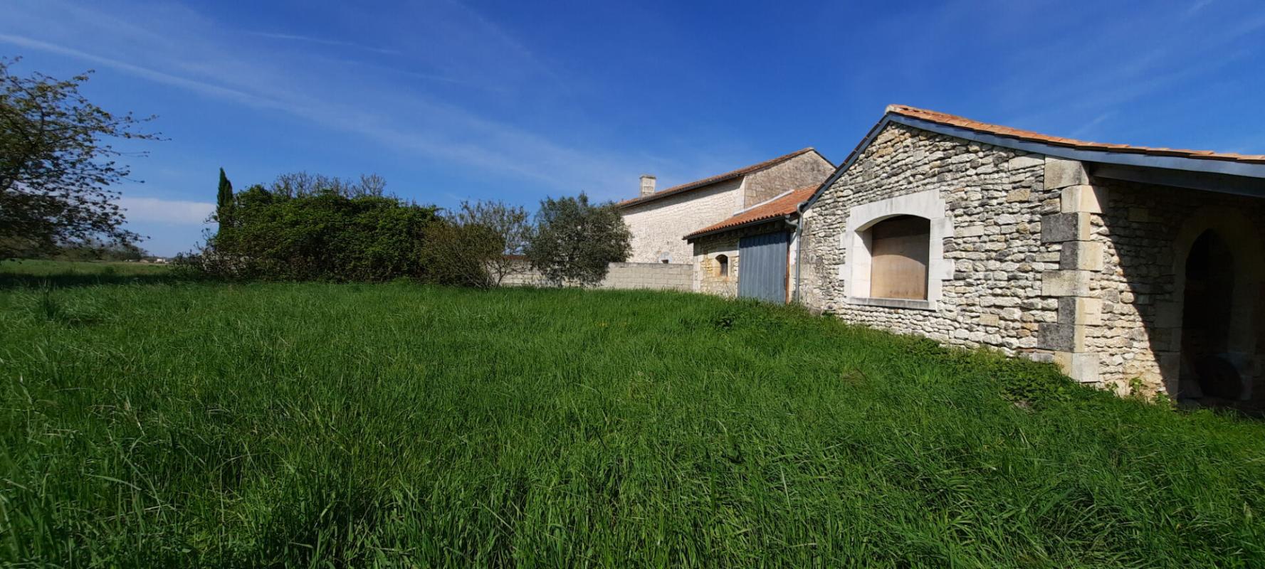 NIEUL-LE-VIROUIL Charentaise rénovée, dépendances et piscine 17