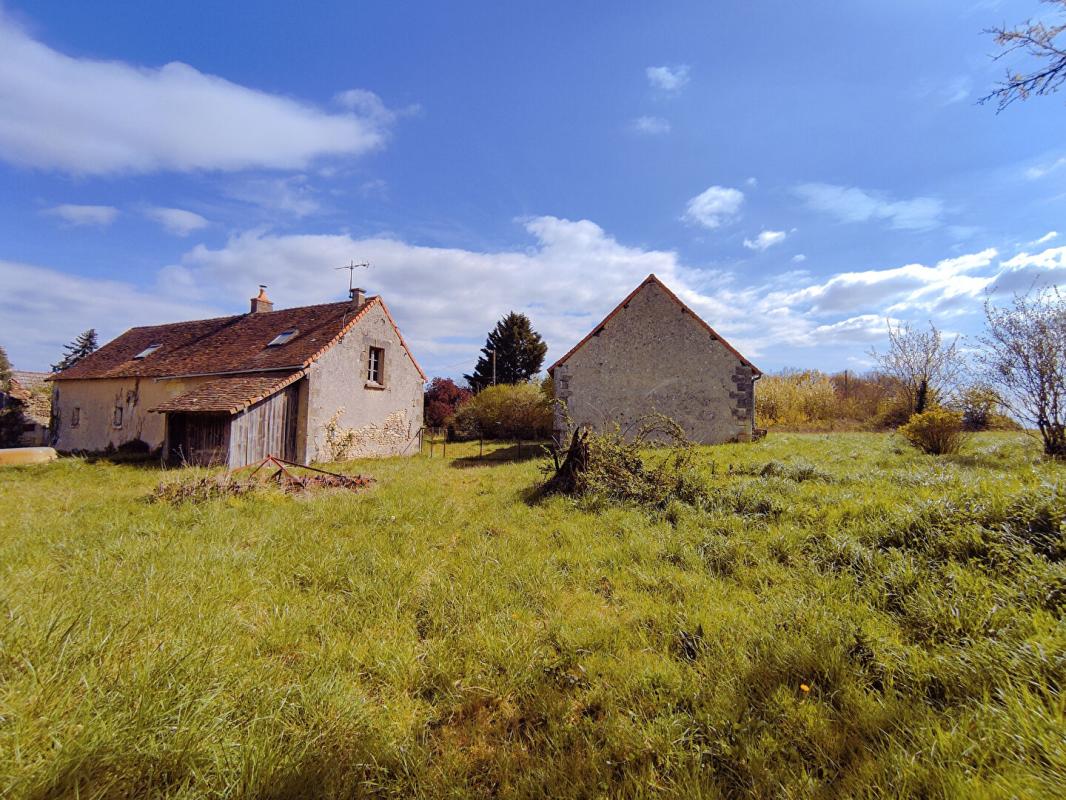 CHAUMUSSAY Longère Chaumussay 5 pièce(s) 109 m2 sur 2 Ha 3