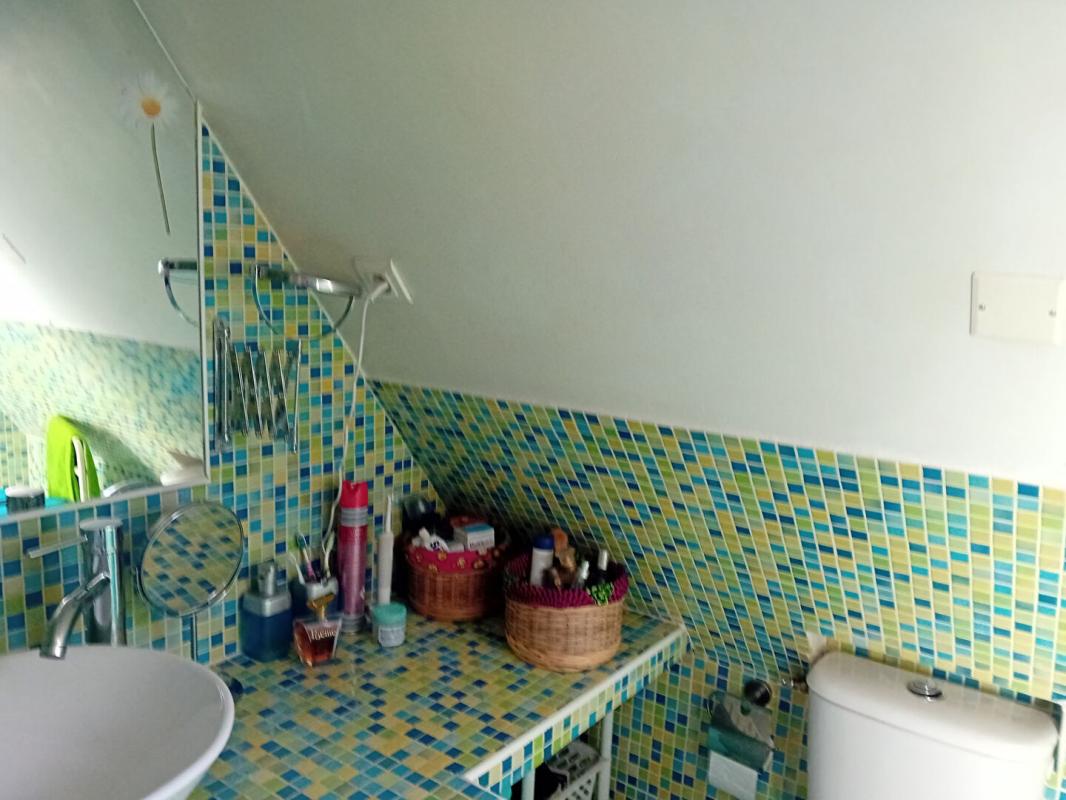 CONCOTS Maison  3 pièce 60 m2 et dépendances 13