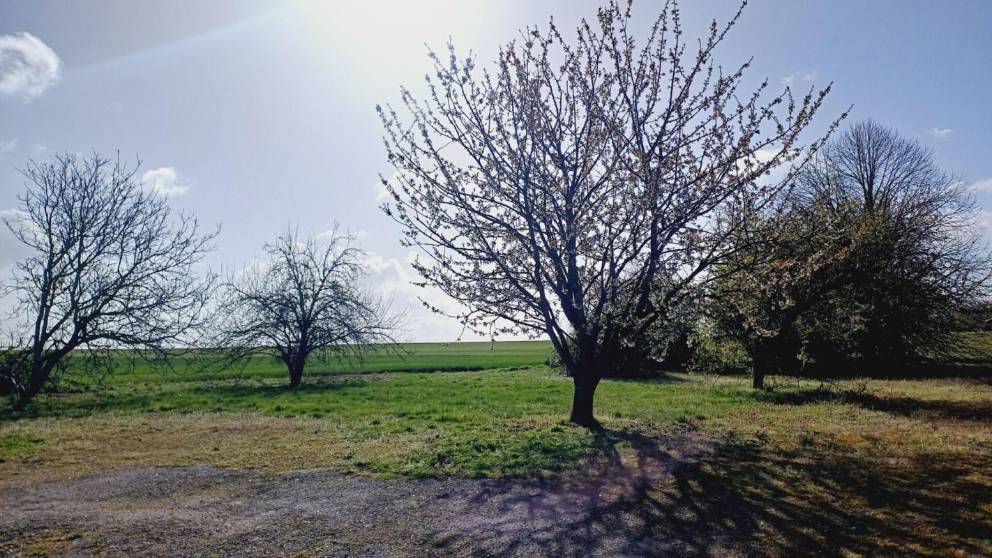 NOYON CORPS DE FERME 9