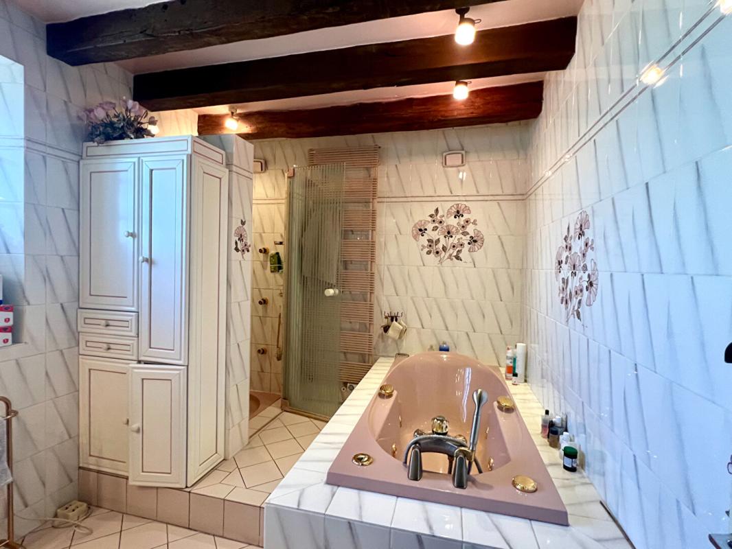 NAVEIL MAGNIFIQUE LONGERE - 7 MN GARE TGV VENDOME - 5 MN CENTRE VILLE 13