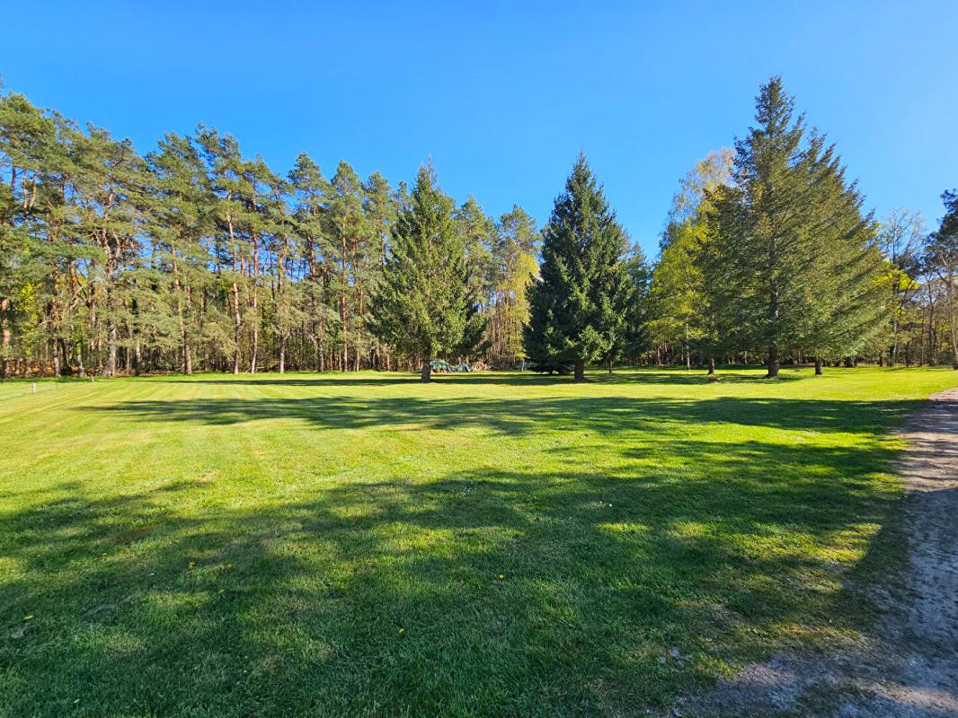 MARCILLY-EN-VILLETTE Propriété d'exception en Sologne ? Longère de 292m² avec piscine intérieure sur 7,8 hectares 4
