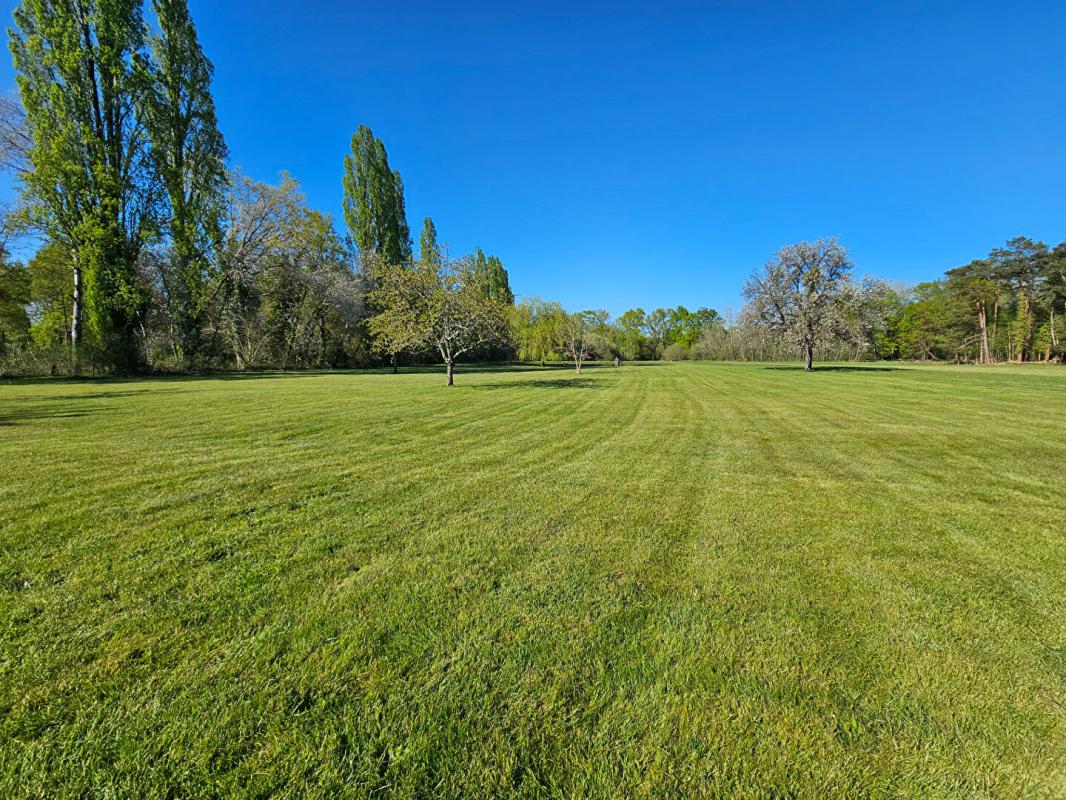 MARCILLY-EN-VILLETTE Propriété d'exception en Sologne ? Longère de 292m² avec piscine intérieure sur 7,8 hectares 5