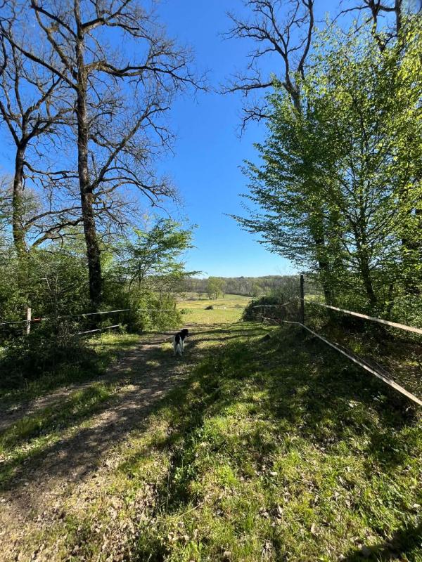 SAINT-FRONT-D'ALEMPS Ferme Saint Front D'Alemps avec terres et dépendances 13