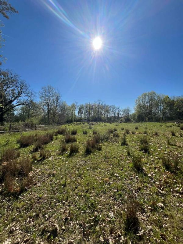 SAINT-FRONT-D'ALEMPS Ferme Saint Front D'Alemps avec terres et dépendances 14