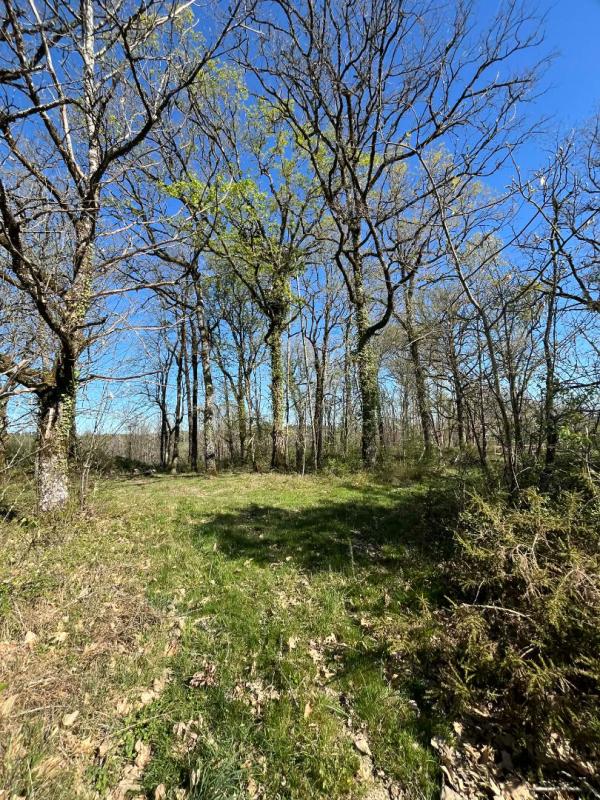 SAINT-FRONT-D'ALEMPS Ferme Saint Front D'Alemps avec terres et dépendances 15