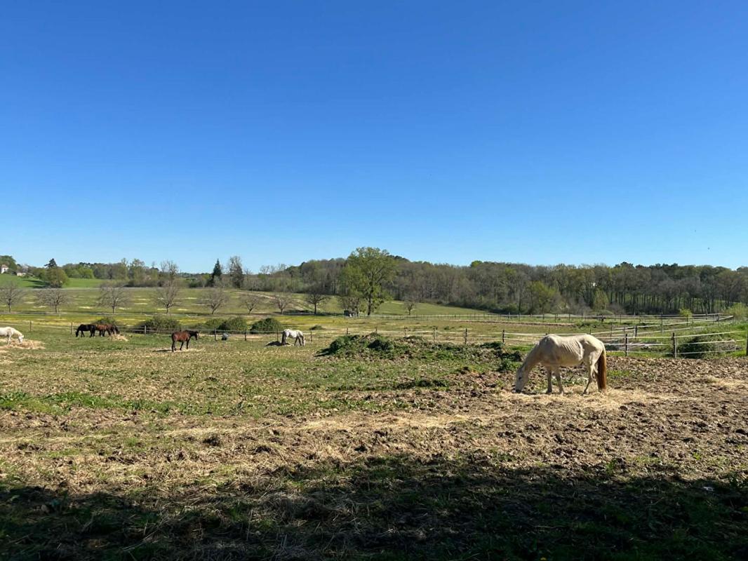 SAINT-FRONT-D'ALEMPS Ferme Saint Front D'Alemps avec terres et dépendances 17