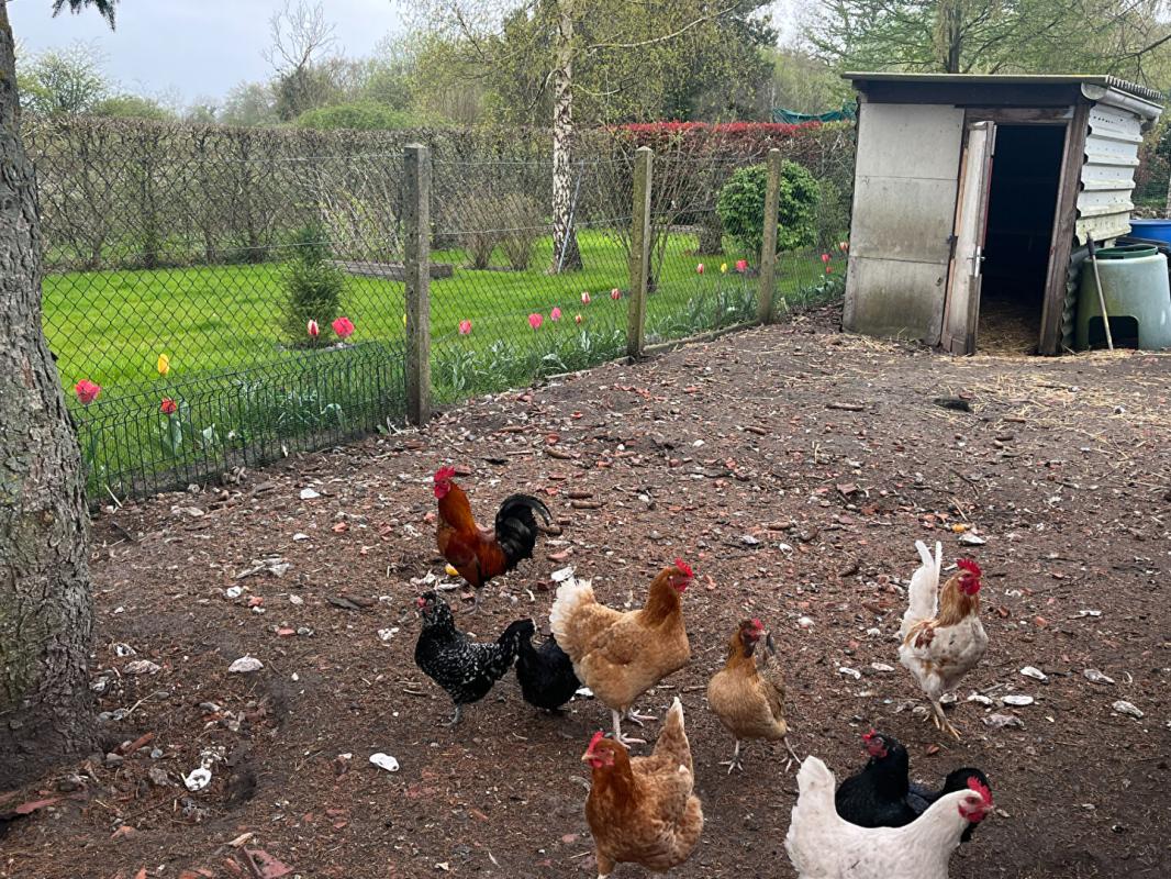 GOURNAY-EN-BRAY Maison ancienne Longère 112M2 3 chambres 2000M2 DE TERRAIN 14