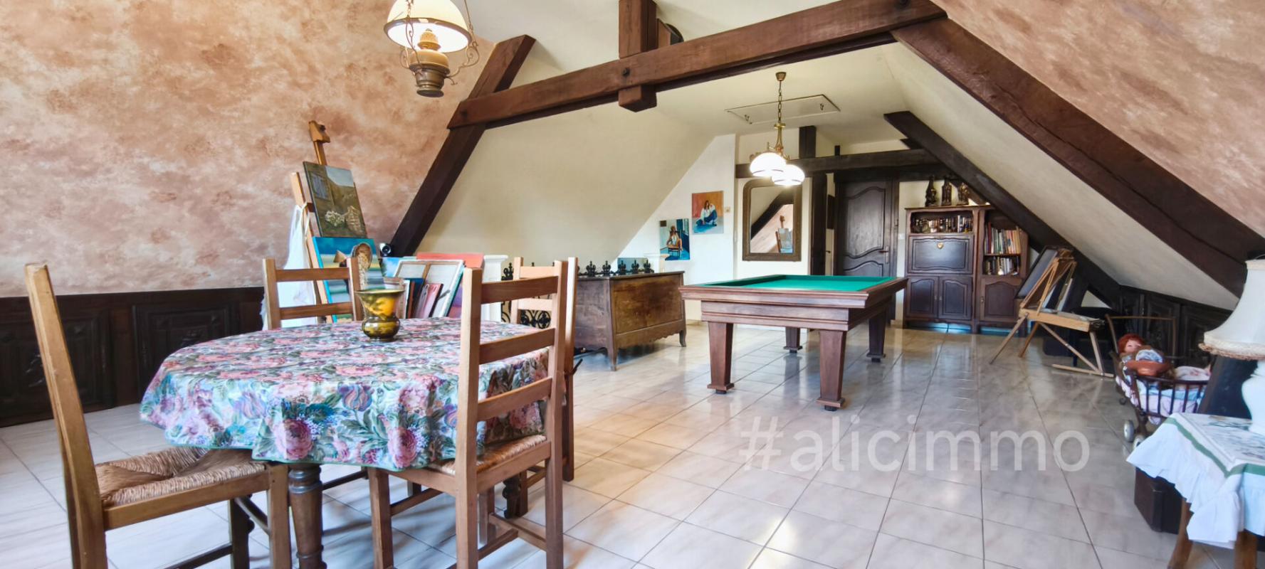 TALUS-SAINT-PRIX Maison triangle Sézanne-Montmirail-Epernay 182 m2 18