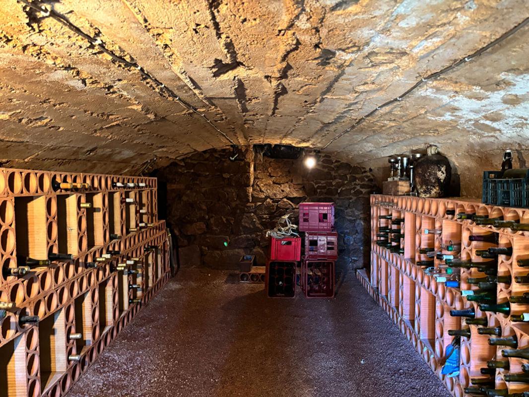 TRIVY Longère au calme sans vis-à-vis avec dépendances et revenus photovoltaïques 15