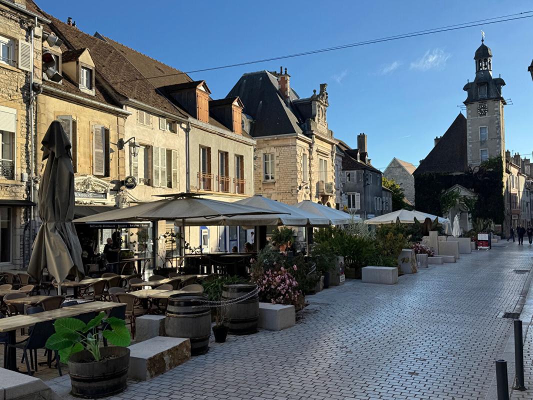 DIJON Immeuble Nuits saint georges 420 m2 1