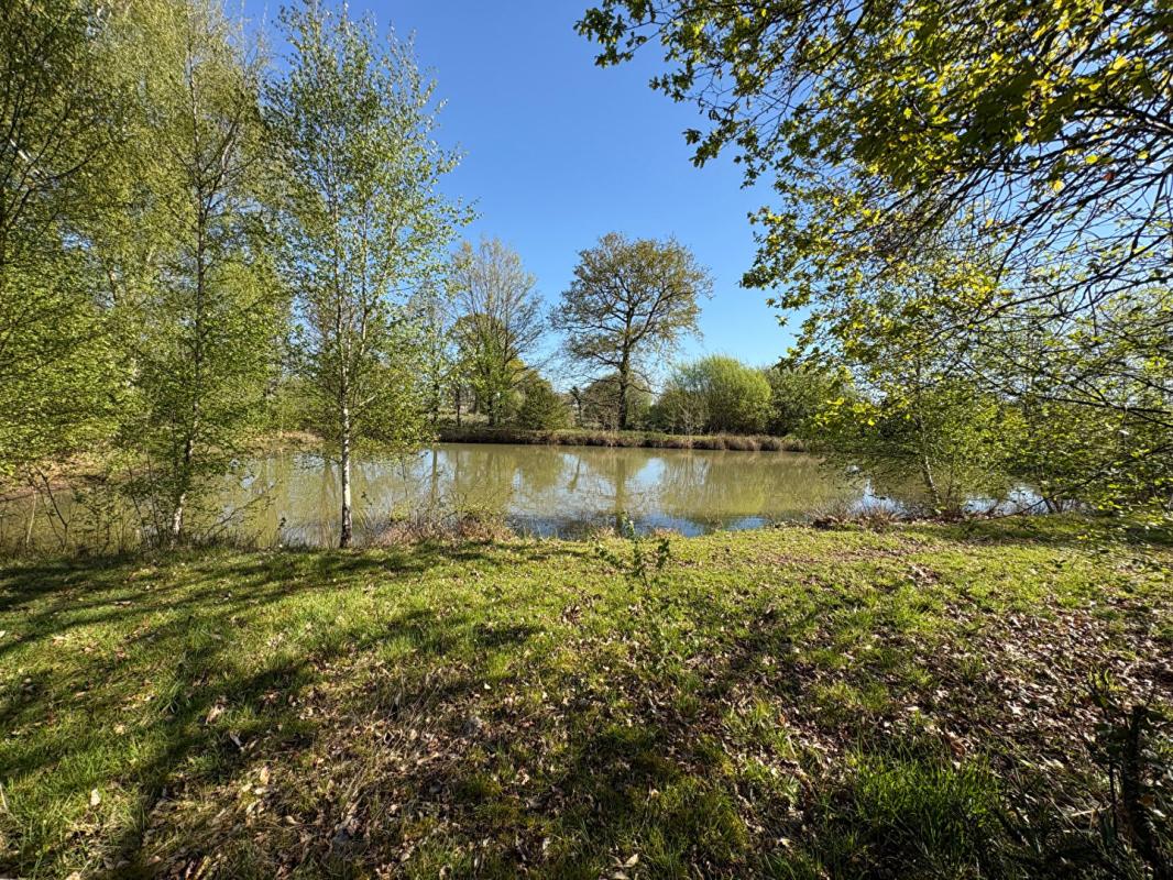 MARCILLE-RAOUL Terrain de loisirs 1