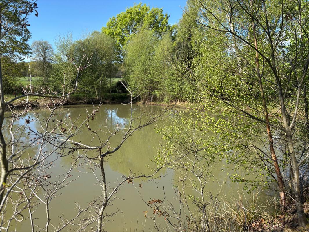 MARCILLE-RAOUL Terrain de loisirs 3