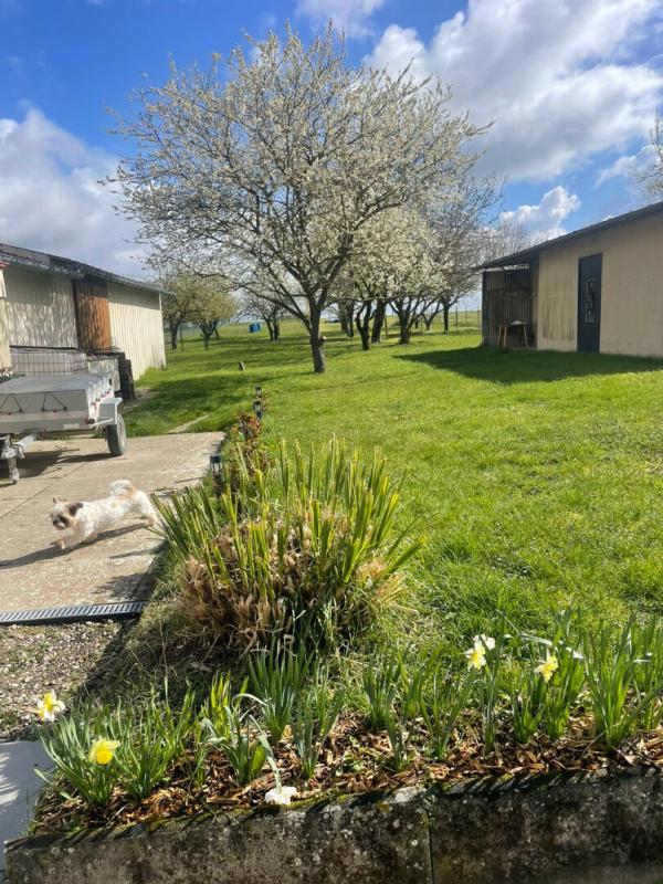 LA NEUVILLE-EN-TOURNE-A-FUY Maison vendue louée - Idéal investisseur - La Neuville-en-Taf 6