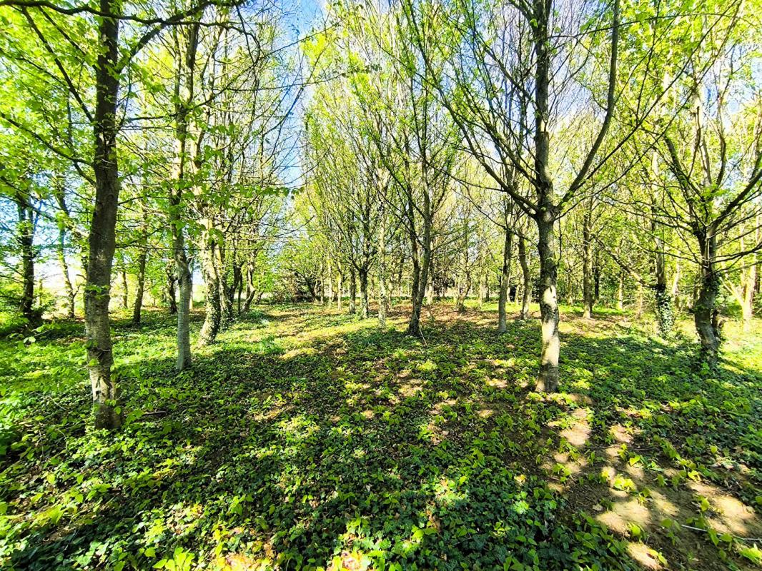 FERRIERES-EN-BRAY Grange Ferrieres En Bray 5 pièces 95.78 m2 4