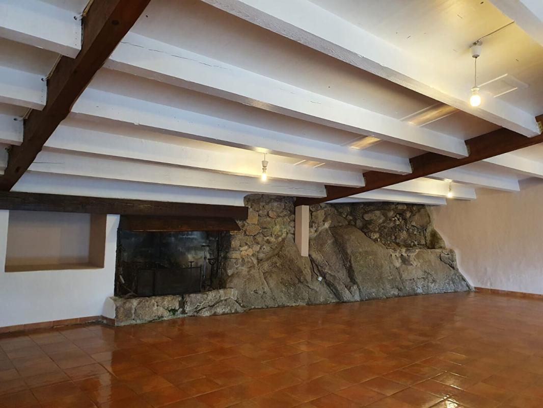 SAINT-ANDRE-DE-MAJENCOULES Château Saint Andre De Majencoules 47 pièce(s) 1281 m2 12