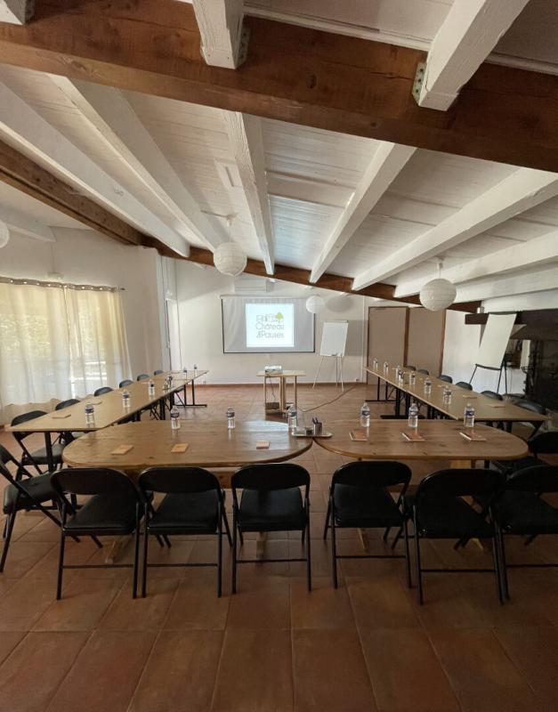 SAINT-ANDRE-DE-MAJENCOULES Château Saint Andre De Majencoules 47 pièce(s) 1281 m2 13