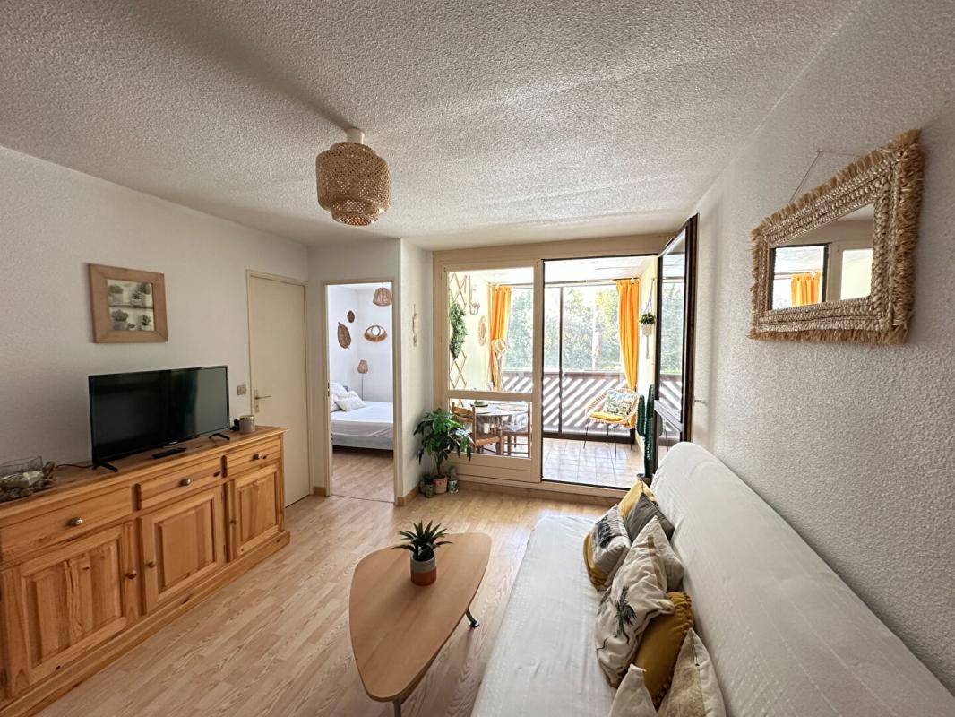 SAINT-GEORGES-DE-DIDONNE Appartement T2 Saint Georges De Didonne 31 m2 100 M plage 4