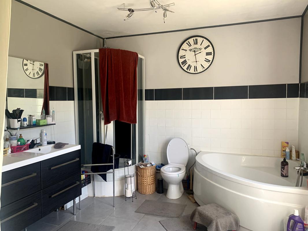 CHATILLON-SAINT-JEAN Maison de 251 m2 Châtillon Saint Jean de 8 pièces 11