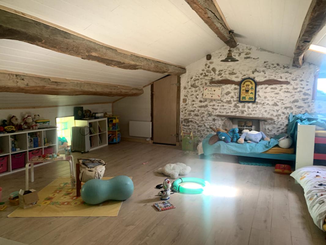 CHATILLON-SAINT-JEAN Maison de 251 m2 Châtillon Saint Jean de 8 pièces 17