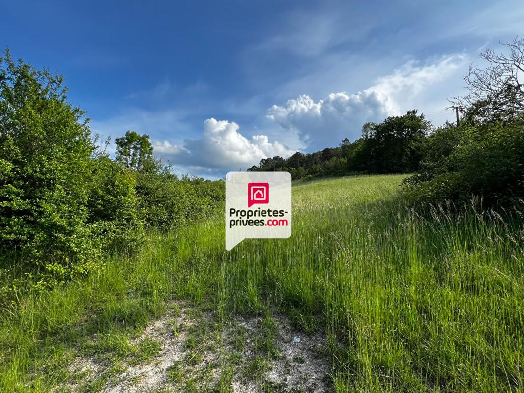 SAINT-PAUL-DE-SERRE Beau terrain constructible et arboré de 3350 m² situé proche du bourg de SAINT-PAUL-DE-SERRE (24380) 3
