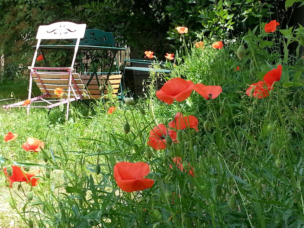 MONTOIRE-SUR-LE-LOIR MAISON DE VILLAGE ET SES CAVES CHAMPIGNONNIERES 5