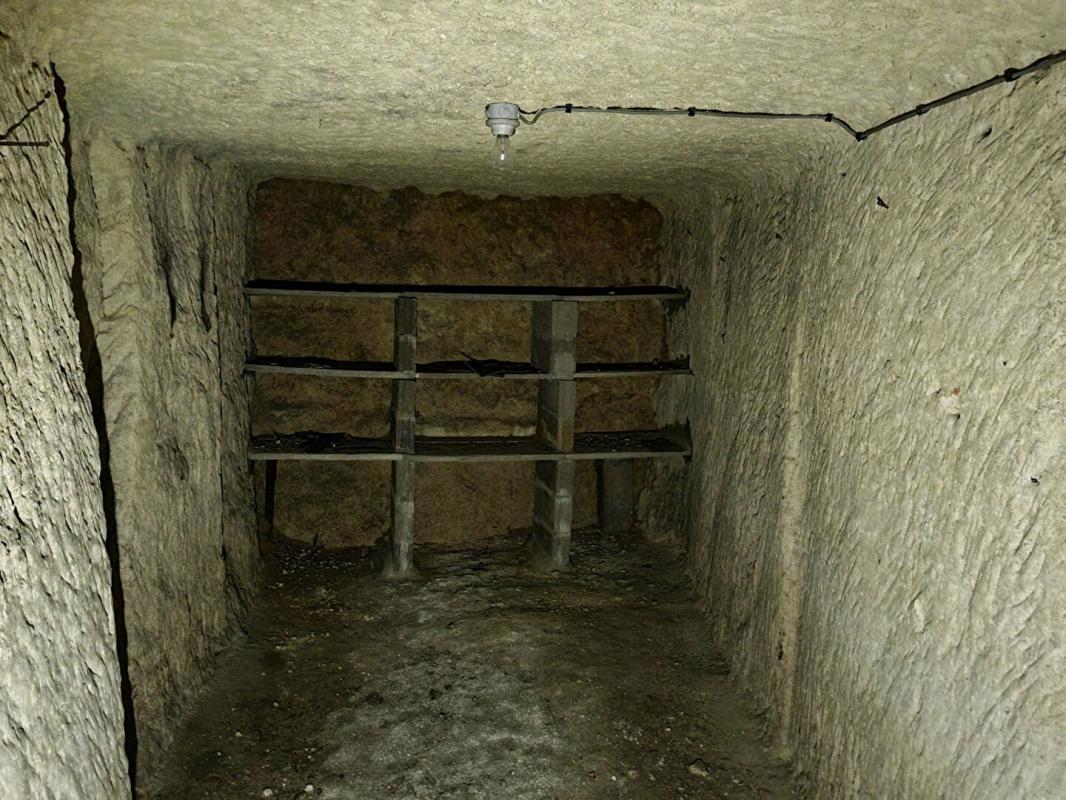 MONTOIRE-SUR-LE-LOIR MAISON DE VILLAGE ET SES CAVES CHAMPIGNONNIERES 7