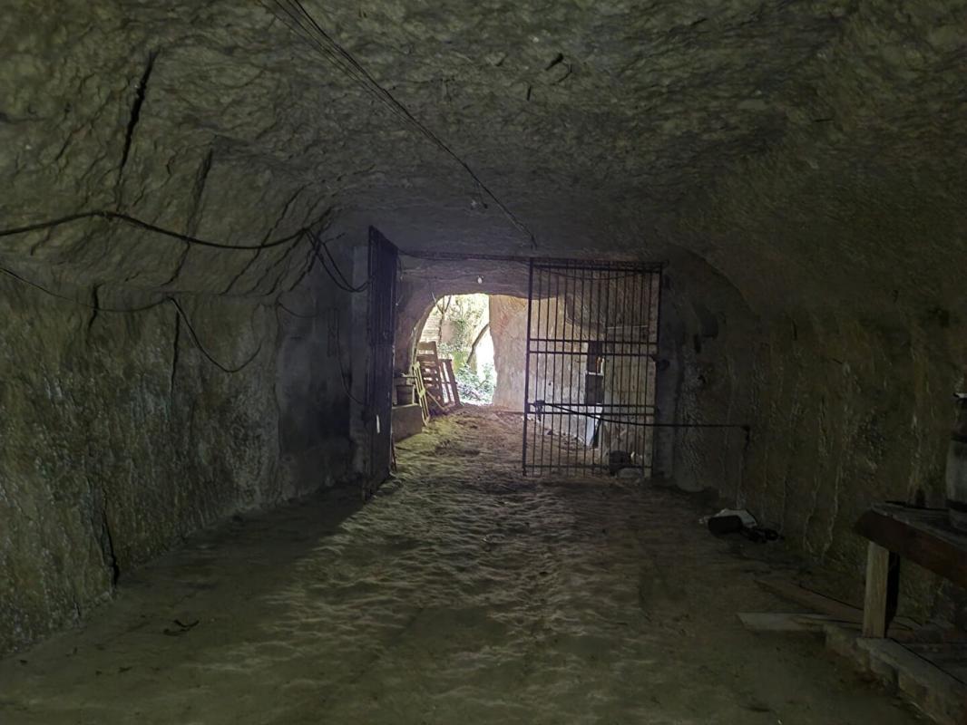 MONTOIRE-SUR-LE-LOIR MAISON DE VILLAGE ET SES CAVES CHAMPIGNONNIERES 8