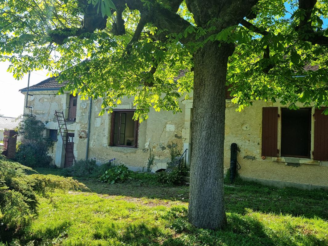 VILLIERS-SUR-LOIR ANCIENNE FERME à VILLIERS SUR LOIR 7