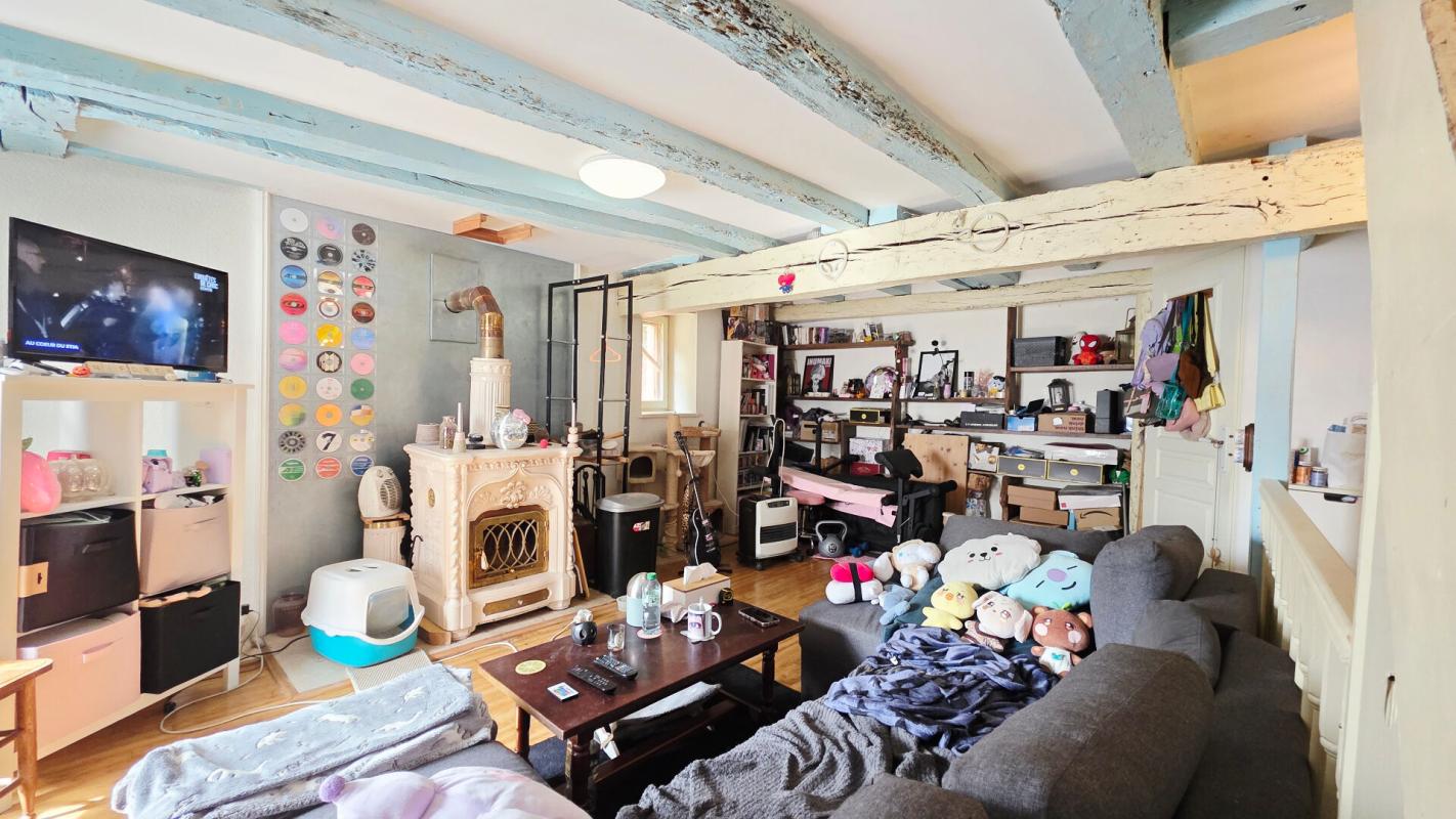 BOURGES BOURGES CENTRE IMMEUBLE DE RAPPORT 120 m² 2 LOTS 2