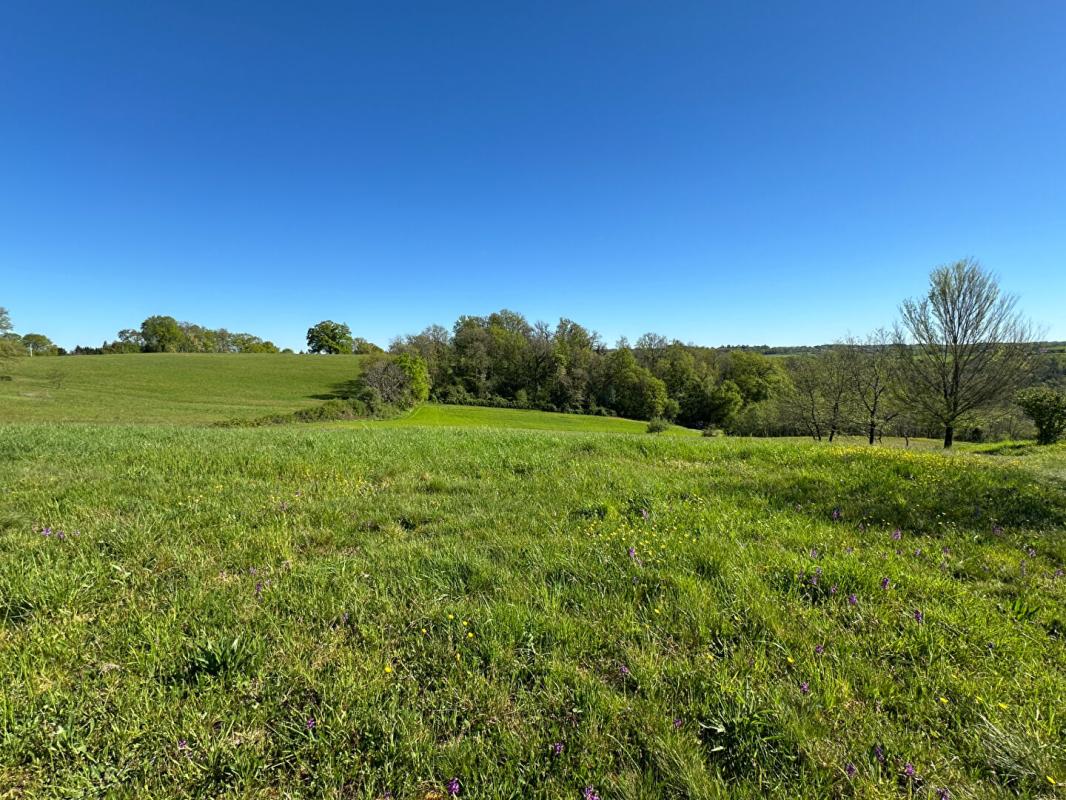 CORGNAC-SUR-L'ISLE TERRAIN A BATIR 3