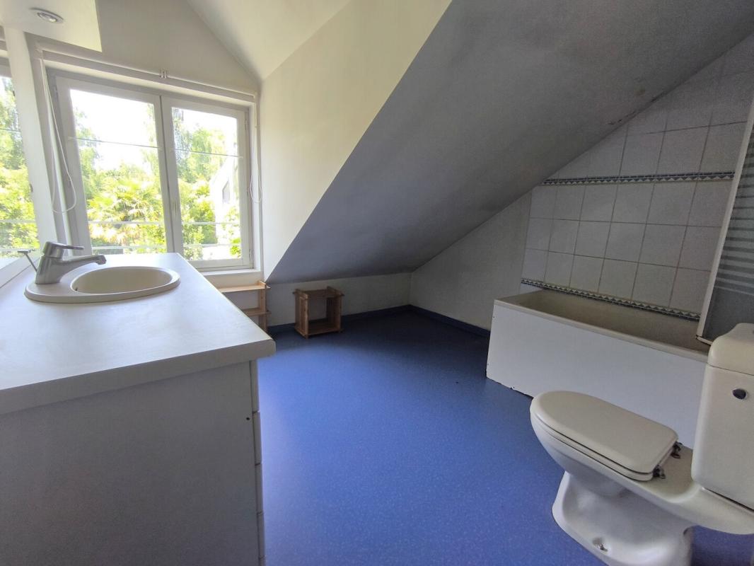 ALENCON Maison de ville avec jardin 9