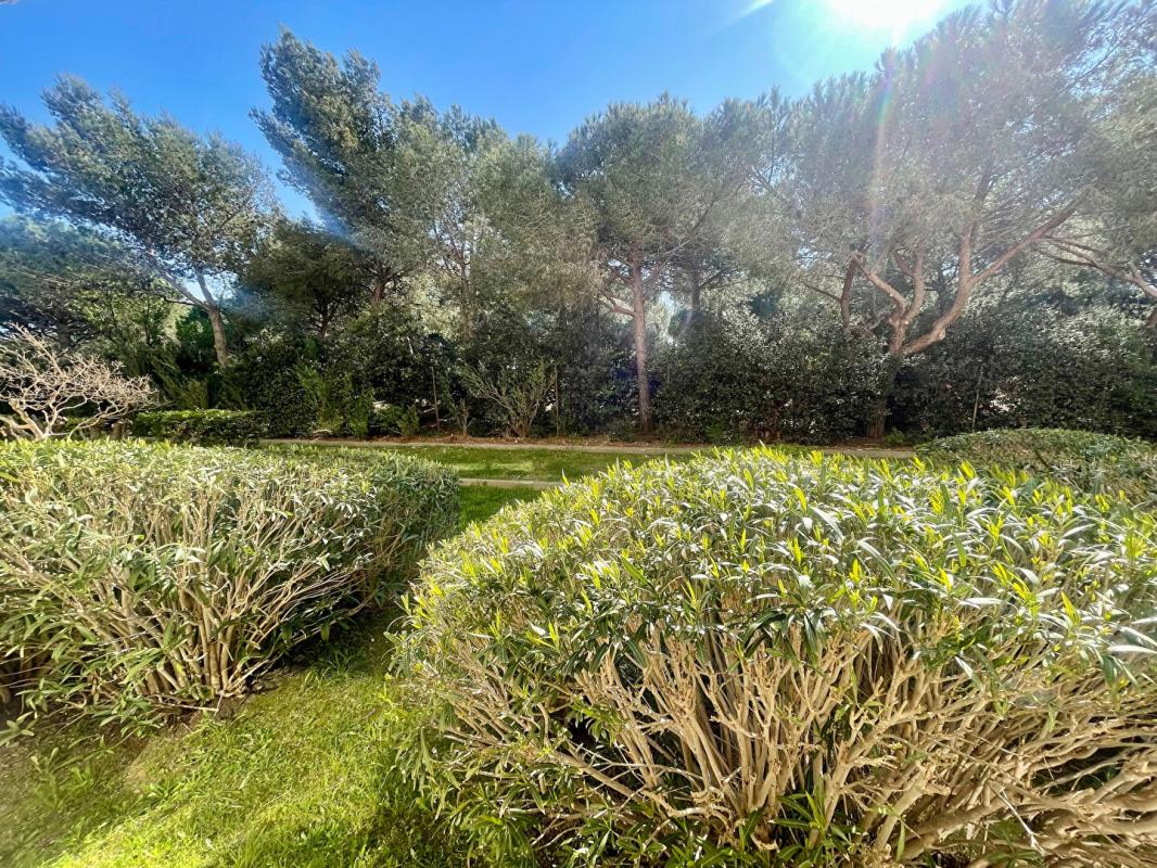 LA SEYNE-SUR-MER A Saisir - Appartement T1 Plage et Parc aux Sablettes - La Seyne-sur-Mer (83500) 6