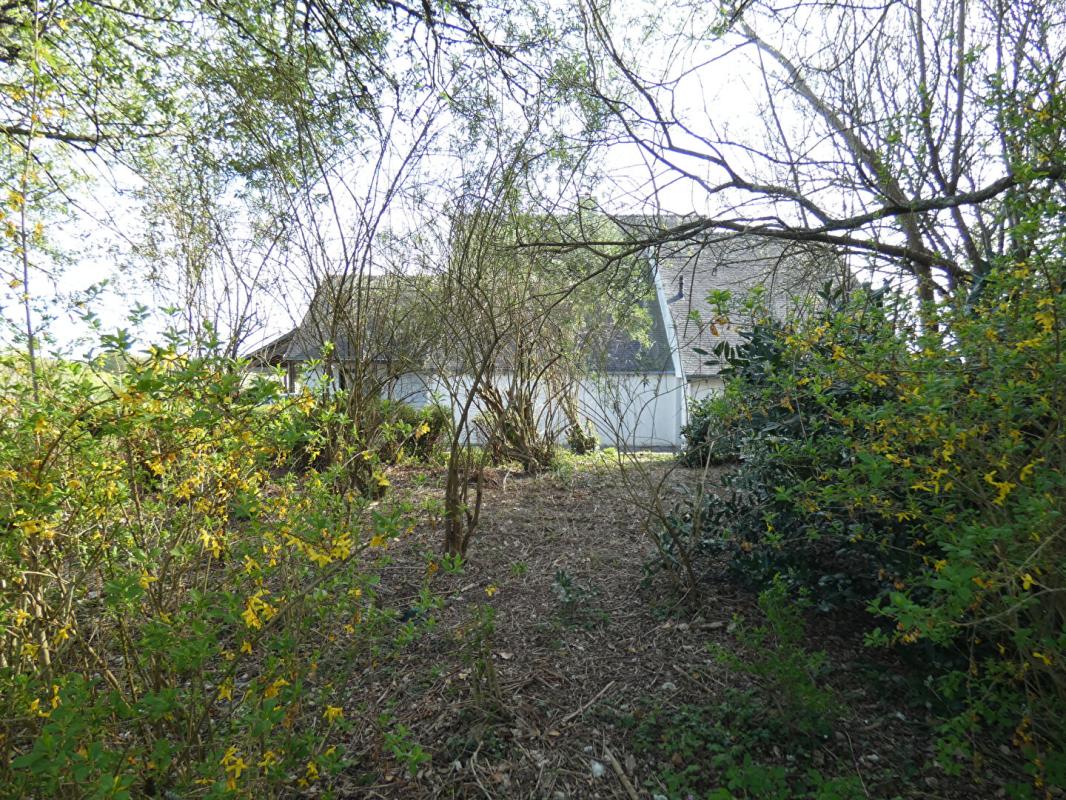 BLAIN Maison  d'architecte de 200m2 - en très bon état - sur près 95 000m2 ! 18