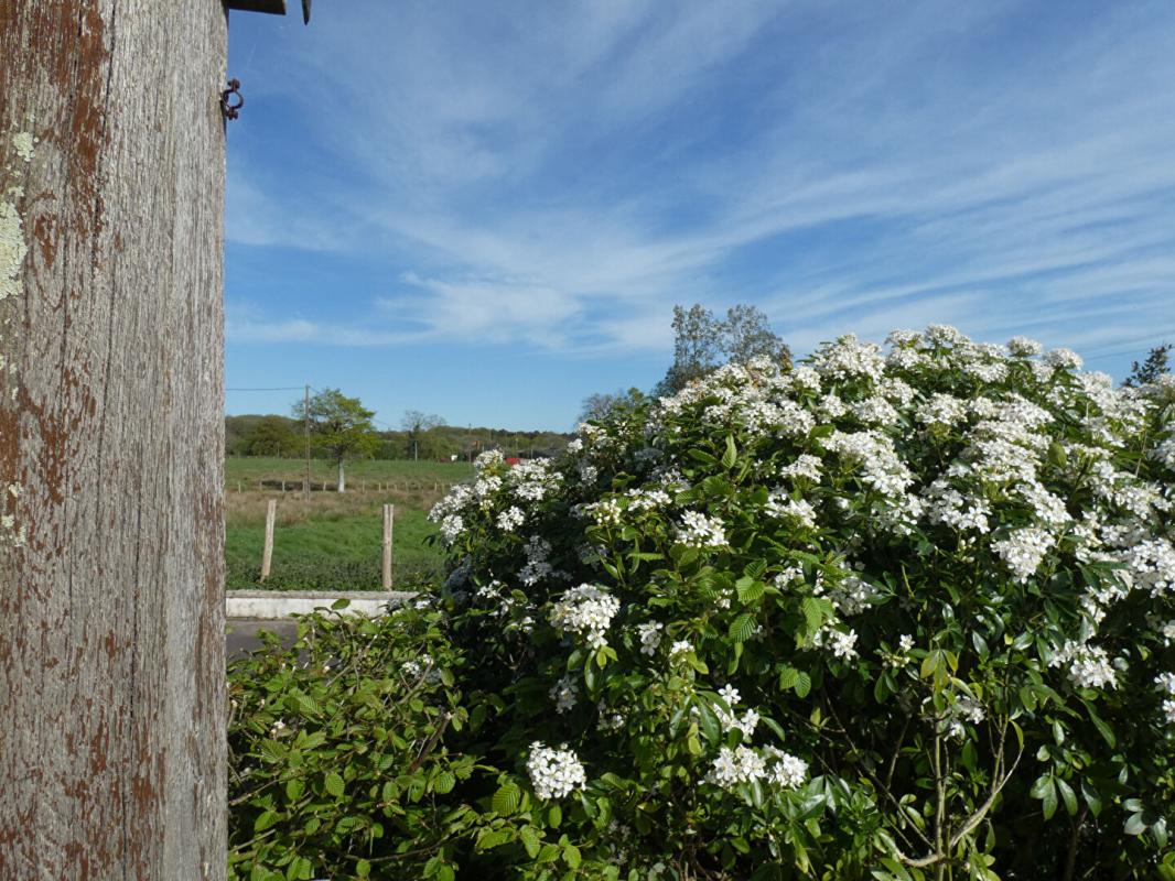 BLAIN Maison  d'architecte de 200m2 - en très bon état - sur près 95 000m2 ! 3