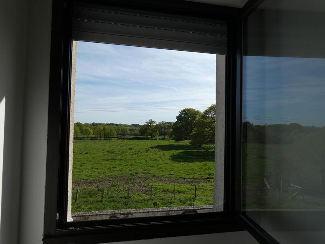 BLAIN Maison  d'architecte de 200m2 - en très bon état - sur près 95 000m2 ! 9