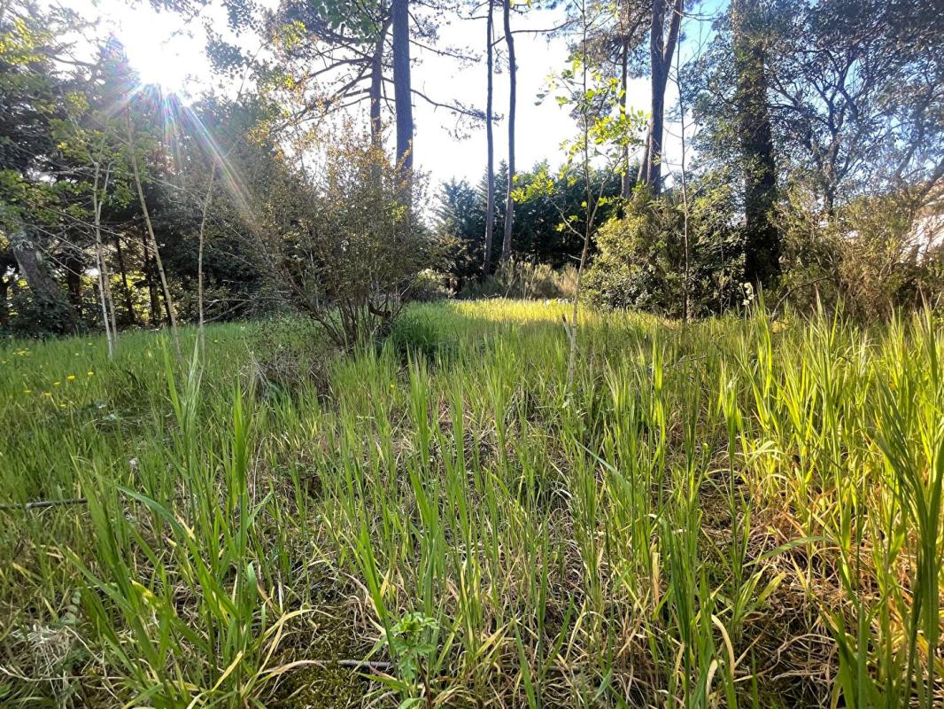 AUDENGE Terrain constructible Audenge 830 m2 1