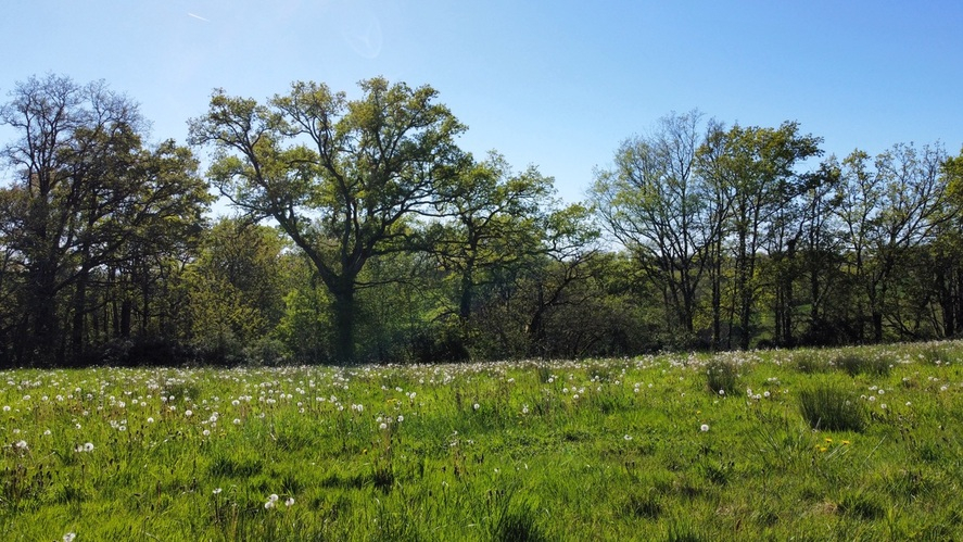 GIGOUZAC Grand terrain à bâtir 6 000 m²  (divisible) - hameau calme - entre Cahors et Gourdon 2