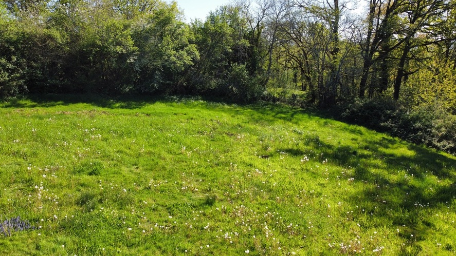 GIGOUZAC Grand terrain à bâtir 6 000 m²  (divisible) - hameau calme - entre Cahors et Gourdon 6