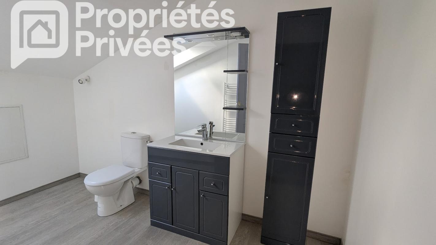 CHOUZE-SUR-LOIRE Chouzé sur Loire .Ensemble immobilier de 7 logements indépendants.430 M2 au total 13