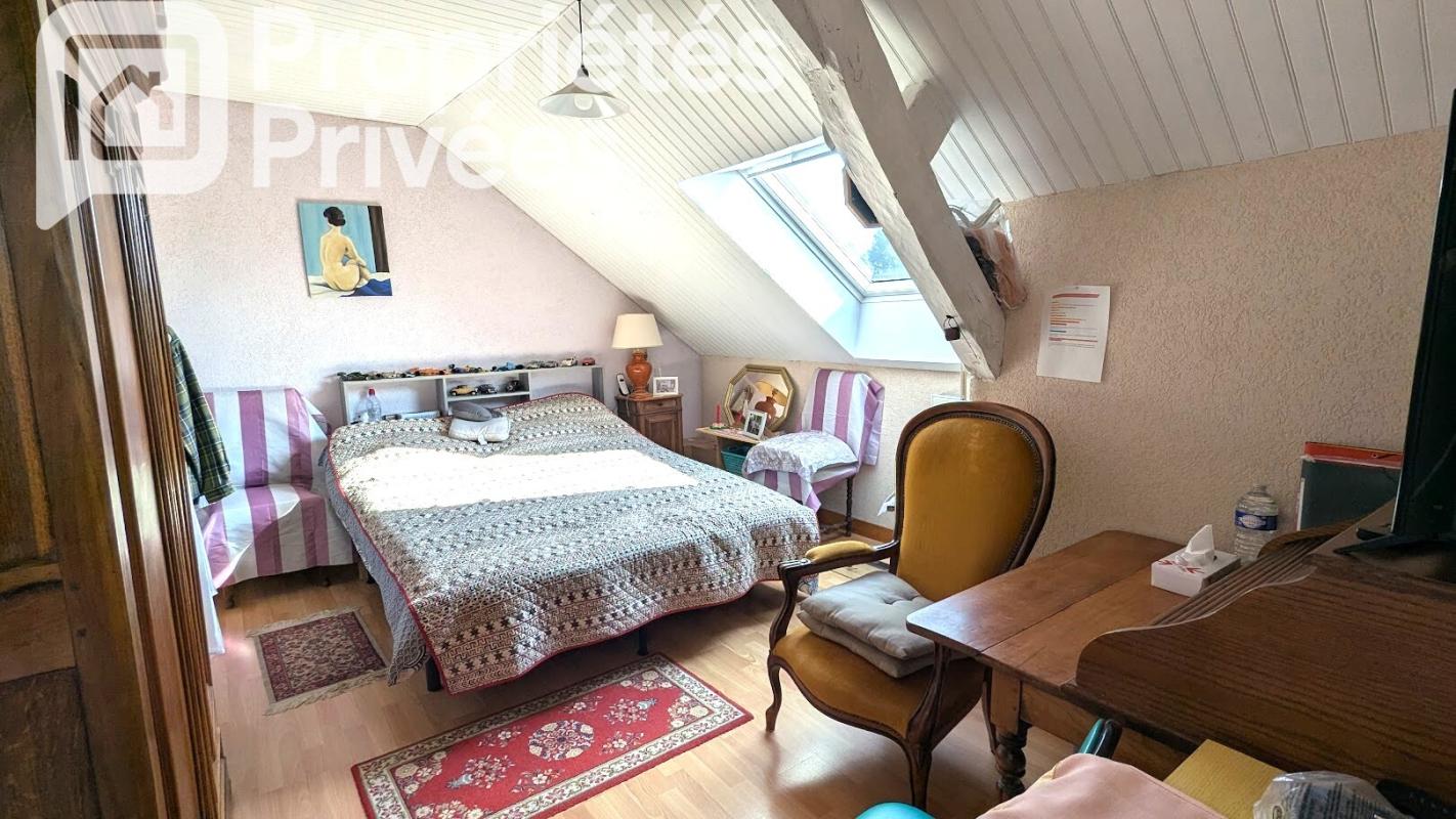 CHOUZE-SUR-LOIRE Chouzé sur Loire .Ensemble immobilier de 7 logements indépendants.430 M2 au total 8