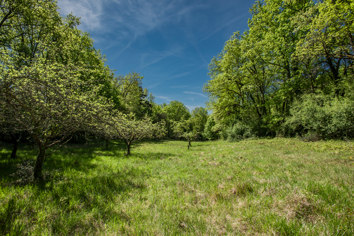 BANEUIL Maison +/- 114 m2, plein pied, 3chambres, garage, atelier, 2.5ha terrain 17