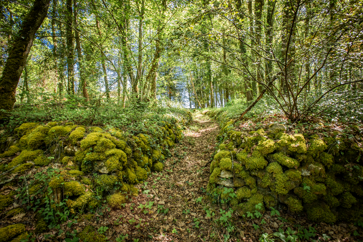 BANEUIL Maison +/- 114 m2, plein pied, 3chambres, garage, atelier, 2.5ha terrain 18