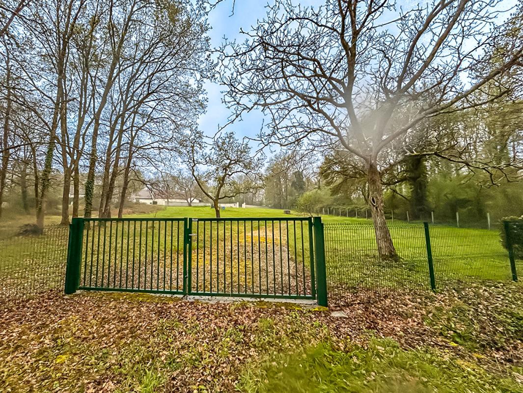 SELLES-SUR-CHER Terrain Selles Sur Cher 3626 m2 2