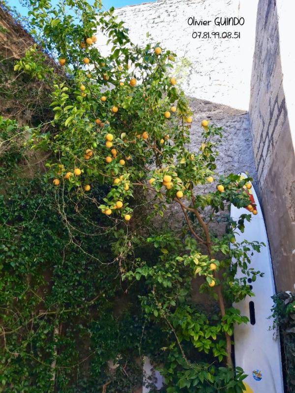 LANSARGUES Maison 4 pièces de 98 m2 avec patio et bassin de relaxation 16