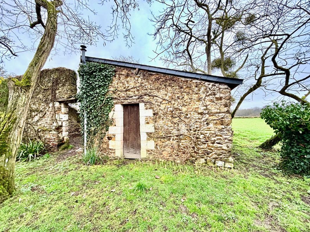 ANGERS Maison de campagne 15 min d'Angers 6 pièce(s) 175 m2 14